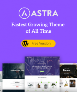 Astra WordPress Theme